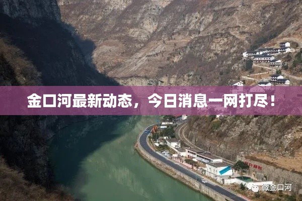 金口河最新动态，今日消息一网打尽！