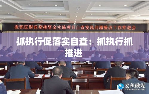 抓执行促落实自查：抓执行抓推进 