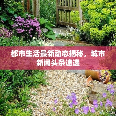 都市生活最新动态揭秘，城市新闻头条速递