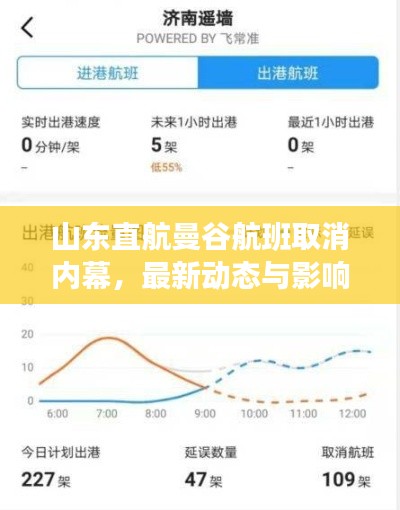 山东直航曼谷航班取消内幕，最新动态与影响分析