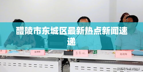 醴陵市东城区最新热点新闻速递