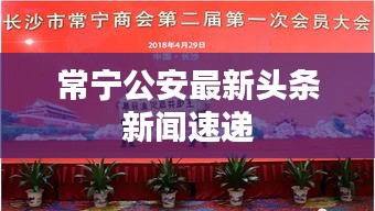 虚张声势 第2页