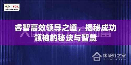 睿智高效领导之道，揭秘成功领袖的秘诀与智慧