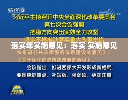 落实年实施意见：落实 实施意见 