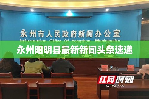 永州阳明县最新新闻头条速递