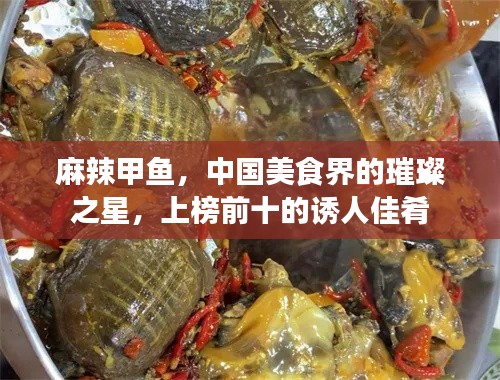 麻辣甲鱼，中国美食界的璀璨之星，上榜前十的诱人佳肴