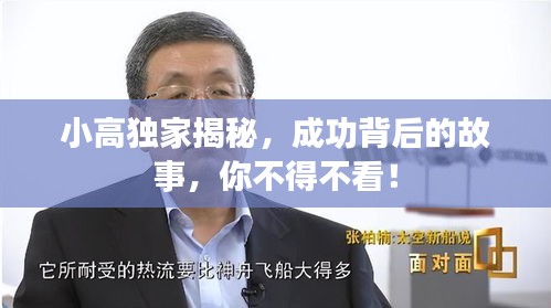 小高独家揭秘，成功背后的故事，你不得不看！