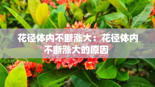 花径体内不断涨大：花径体内不断涨大的原因 
