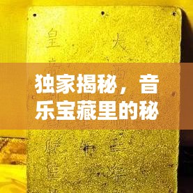 独家揭秘，音乐宝藏里的秘密歌曲