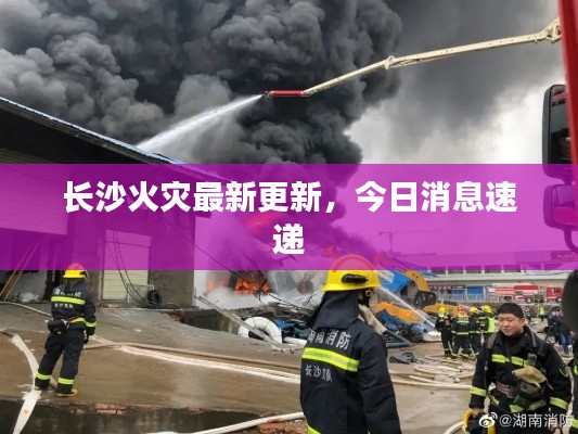 长沙火灾最新更新，今日消息速递