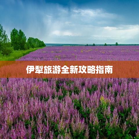 伊犁旅游全新攻略指南