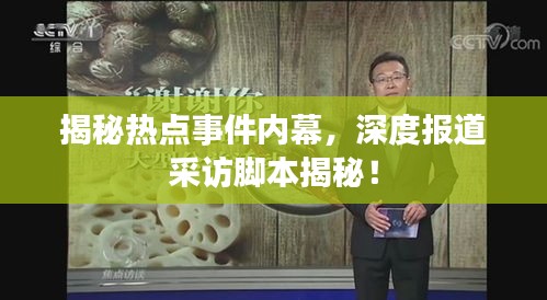揭秘热点事件内幕，深度报道采访脚本揭秘！