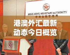 港澳外汇最新动态今日概览