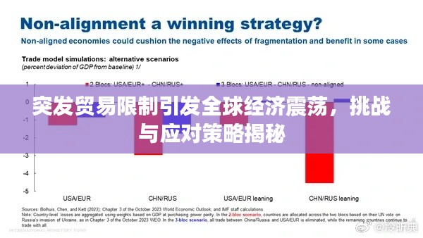 突发贸易限制引发全球经济震荡，挑战与应对策略揭秘