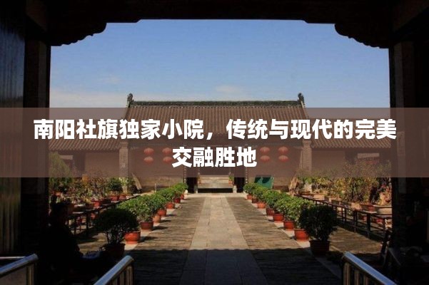 南阳社旗独家小院，传统与现代的完美交融胜地
