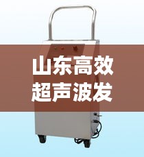 山东高效超声波发生器：高能超声波 