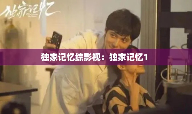 独家记忆综影视：独家记忆1 