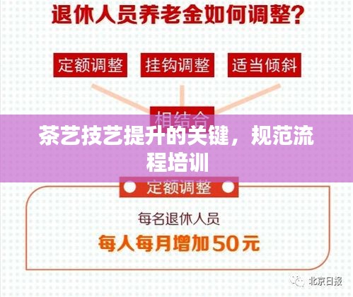茶艺技艺提升的关键，规范流程培训
