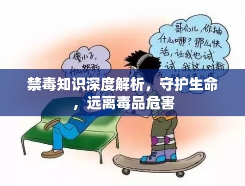 禁毒知识深度解析，守护生命，远离毒品危害