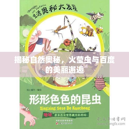揭秘自然奥秘，火莹虫与百度的美丽邂逅