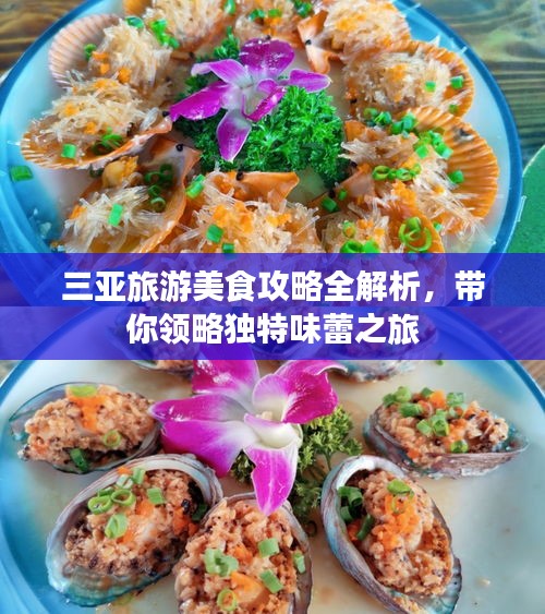 三亚旅游美食攻略全解析，带你领略独特味蕾之旅