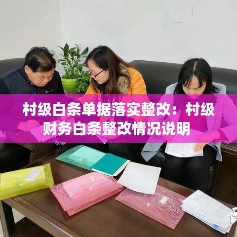 村级白条单据落实整改：村级财务白条整改情况说明 