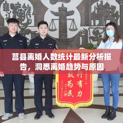 莒县离婚人数统计最新分析报告，洞悉离婚趋势与原因