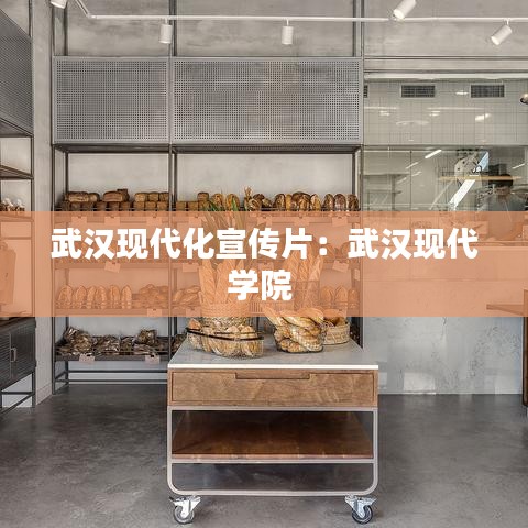武汉现代化宣传片：武汉现代学院 