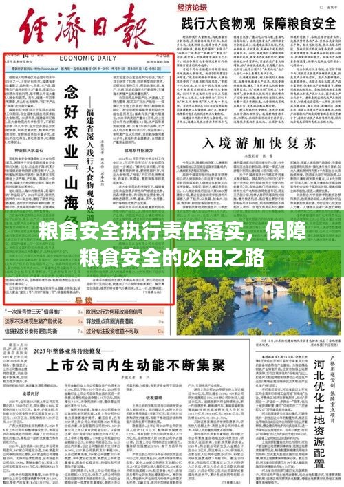 粮食安全执行责任落实，保障粮食安全的必由之路