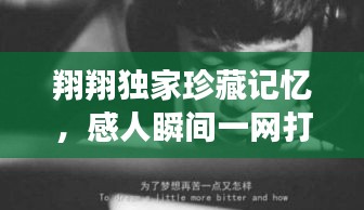 翔翔独家珍藏记忆，感人瞬间一网打尽！