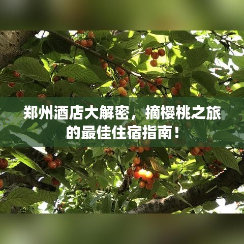 郑州酒店大解密，摘樱桃之旅的最佳住宿指南！