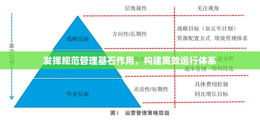 发挥规范管理基石作用，构建高效运行体系