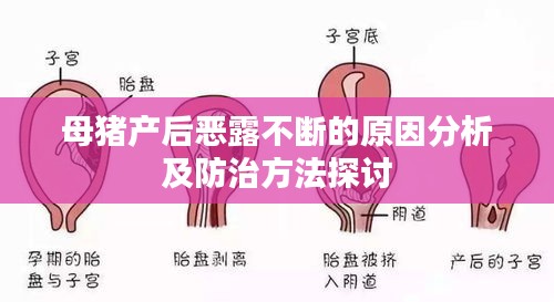 富贵荣华 第2页
