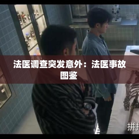法医调查突发意外：法医事故图鉴 