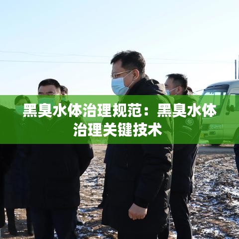 黑臭水体治理规范：黑臭水体治理关键技术 