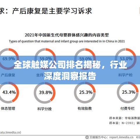全球触媒公司排名揭秘，行业深度洞察报告