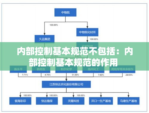 内部控制基本规范不包括：内部控制基本规范的作用 