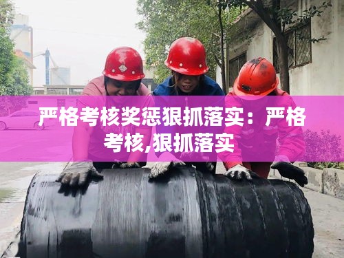 严格考核奖惩狠抓落实：严格考核,狠抓落实 