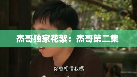 百鸟归巢 第2页