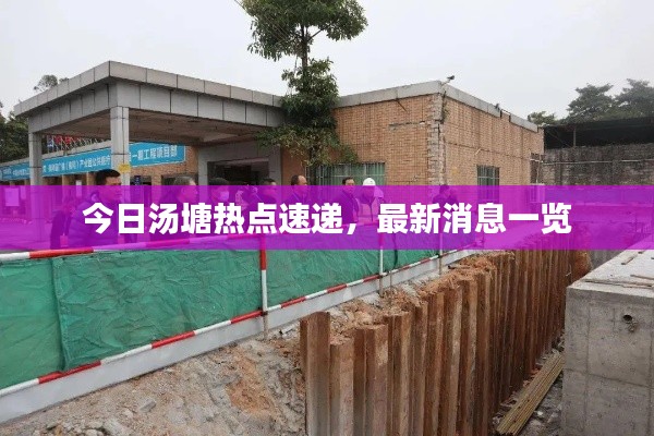 今日汤塘热点速递，最新消息一览