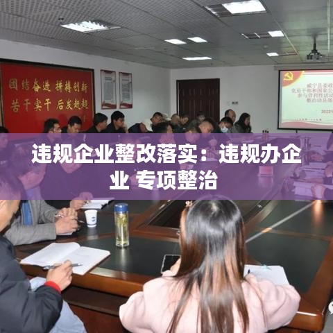 违规企业整改落实：违规办企业 专项整治 