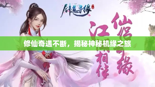修仙奇遇不断，揭秘神秘机缘之旅