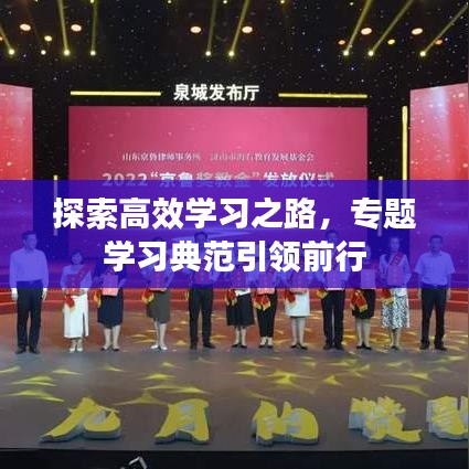 探索高效学习之路，专题学习典范引领前行
