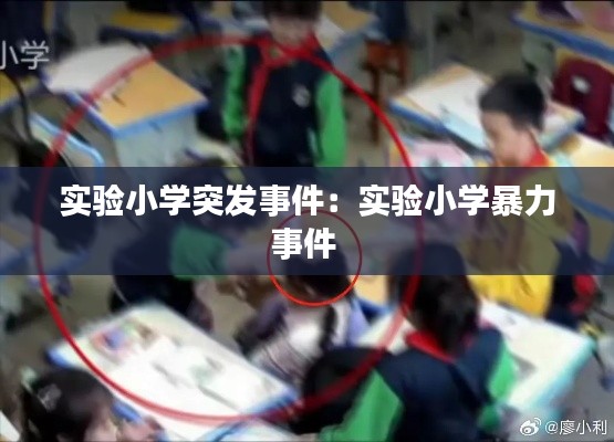实验小学突发事件：实验小学暴力事件 