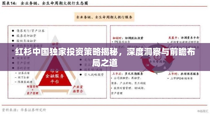 红杉中国独家投资策略揭秘，深度洞察与前瞻布局之道