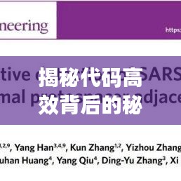 揭秘代码高效背后的秘密，揭秘代码如何提升效率至巅峰状态！