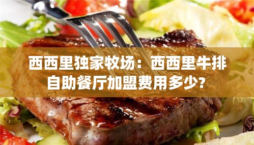西西里独家牧场：西西里牛排自助餐厅加盟费用多少? 