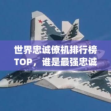 世界忠诚僚机排行榜TOP，谁是最强忠诚伙伴？