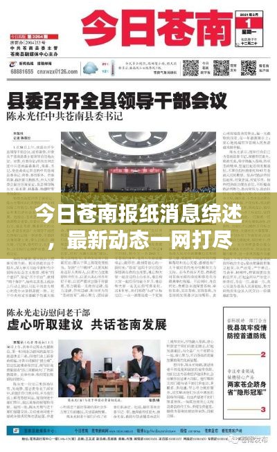 今日苍南报纸消息综述，最新动态一网打尽