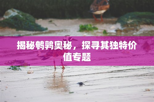 津津有味 第2页